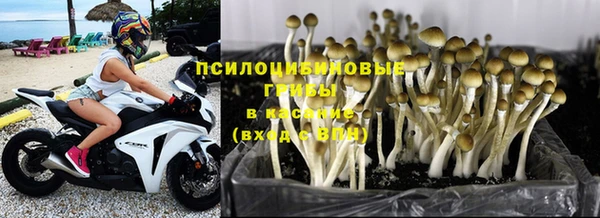 ПСИЛОЦИБИНОВЫЕ ГРИБЫ Покачи