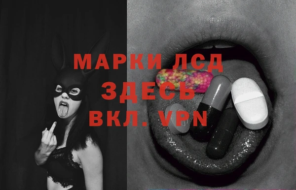 ПСИЛОЦИБИНОВЫЕ ГРИБЫ Покачи